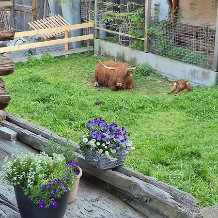 La Grobla - Ruhige & Heimelige Lejlighed *