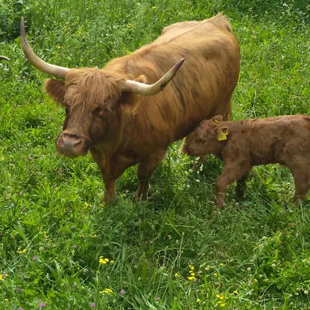 Lejlighed La Grobla - Ruhige & Heimelige *