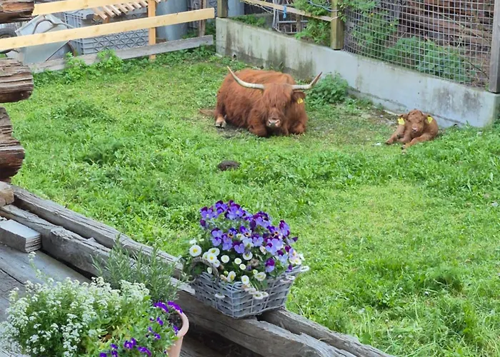 La Grobla - Ruhige & Heimelige Lejlighed *